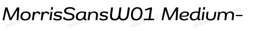 MorrisSansW01 Medium字体转换